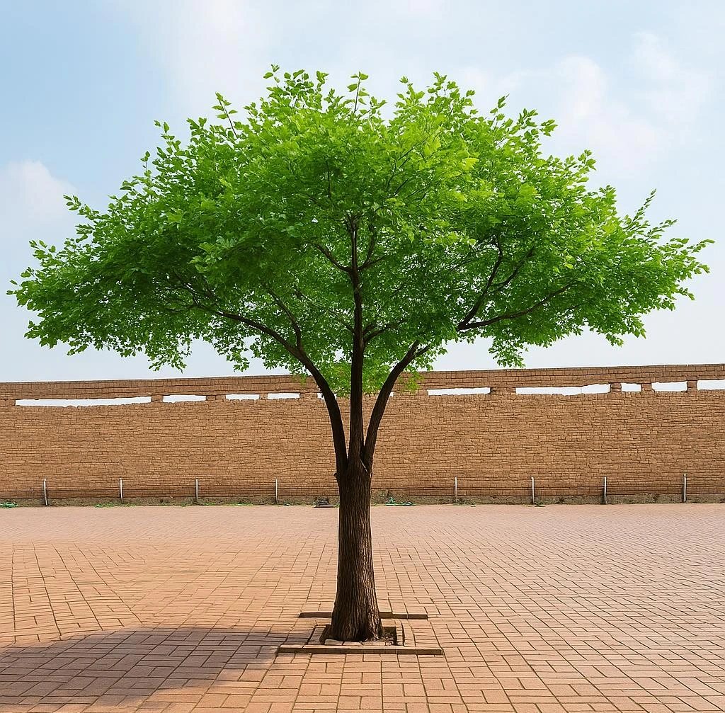 Tree Trunk Jumbo H400 W500cm Point 300